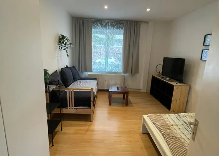 Apartment, Parterre, Fuer 3 Gaeste, Zentral Gelegen, Mitsubishi Halle Appartement